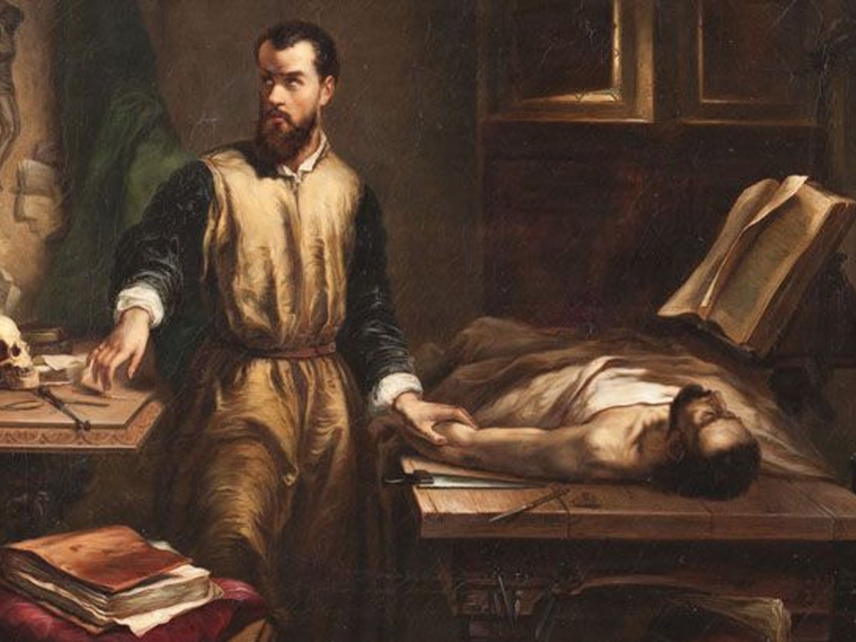 Idéal et représentation du corps à la&nbsp;Renaissance