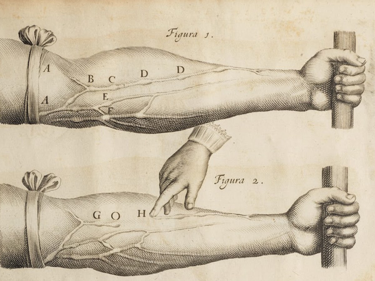 Le corps bridé et contenu du XVIIe&nbsp;siècle