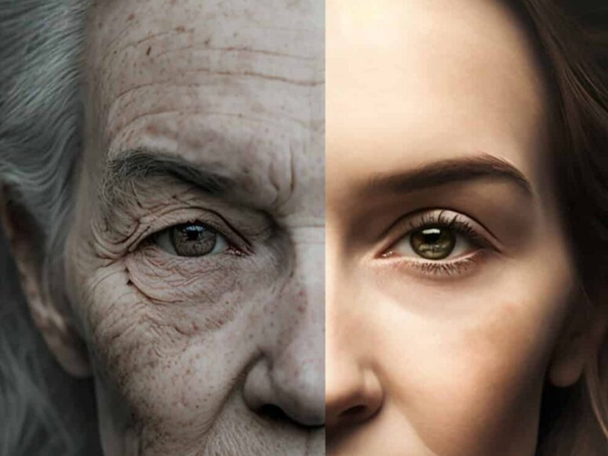 Transhumanisme ou le fantasme de l&rsquo;immortalité