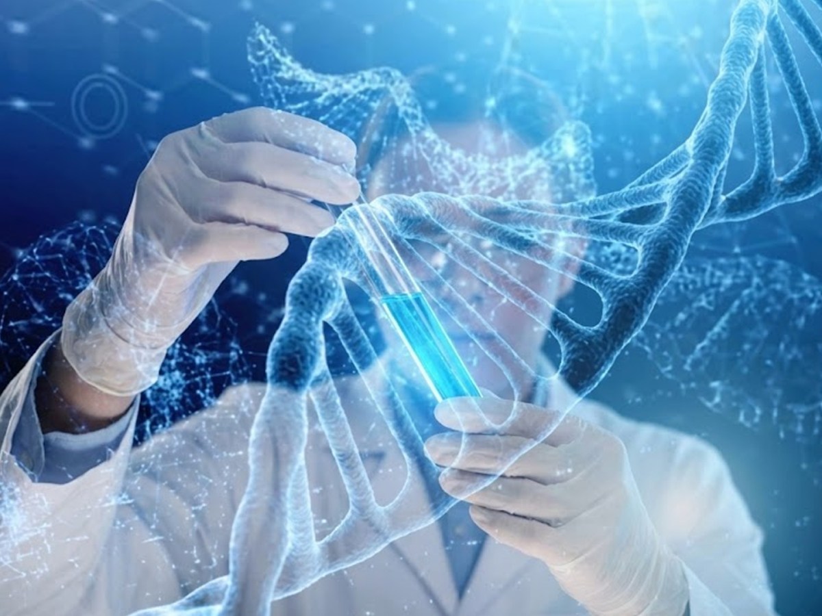 L’humain sous brevet : le projet implicite de la Guilde des ingénieurs de la&nbsp;vie